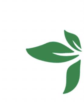 Green Leaf